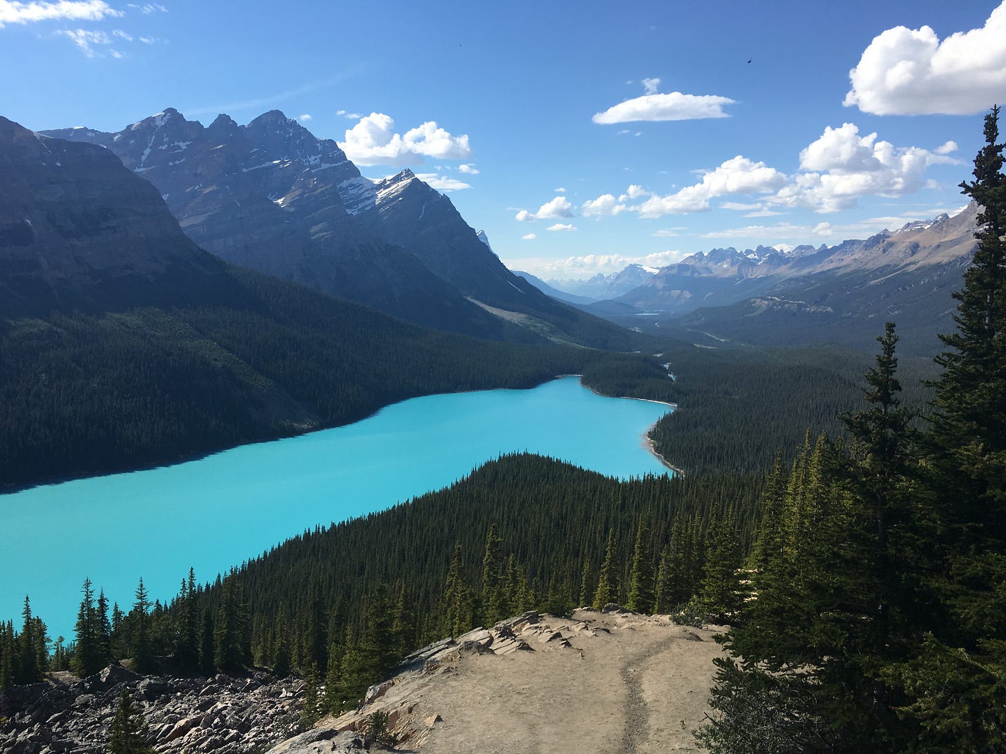 Peyto Lake on scenic Columbia Icefields Parkway between Banff and Jasper National Parks