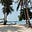 Asian Beach Baby's avatar