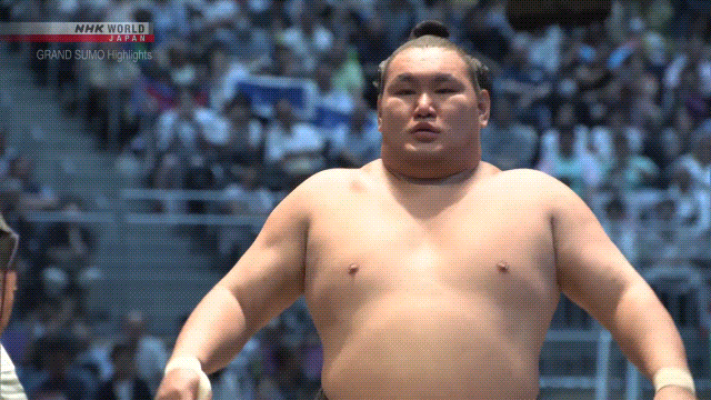 Sumo Stomp! | Tim Edwards | Substack