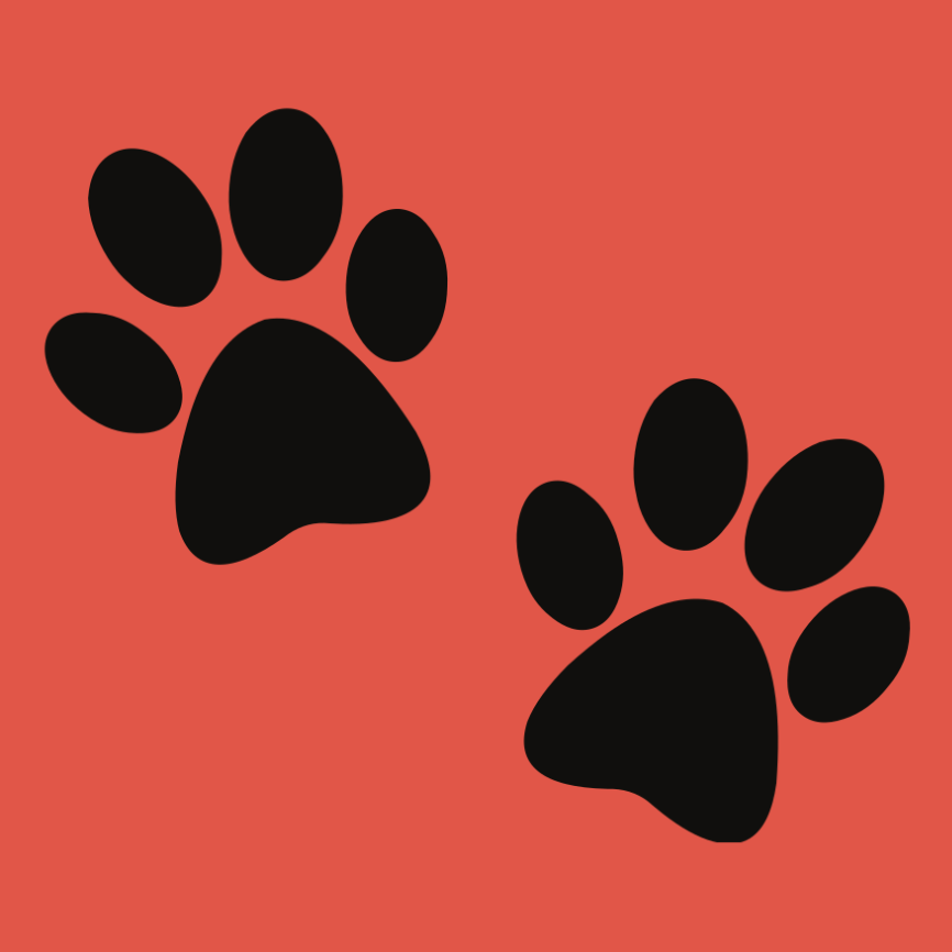 Lovenotes from Lovebug \ud83d\udc3e