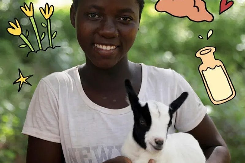 A young girl holding a baby goat