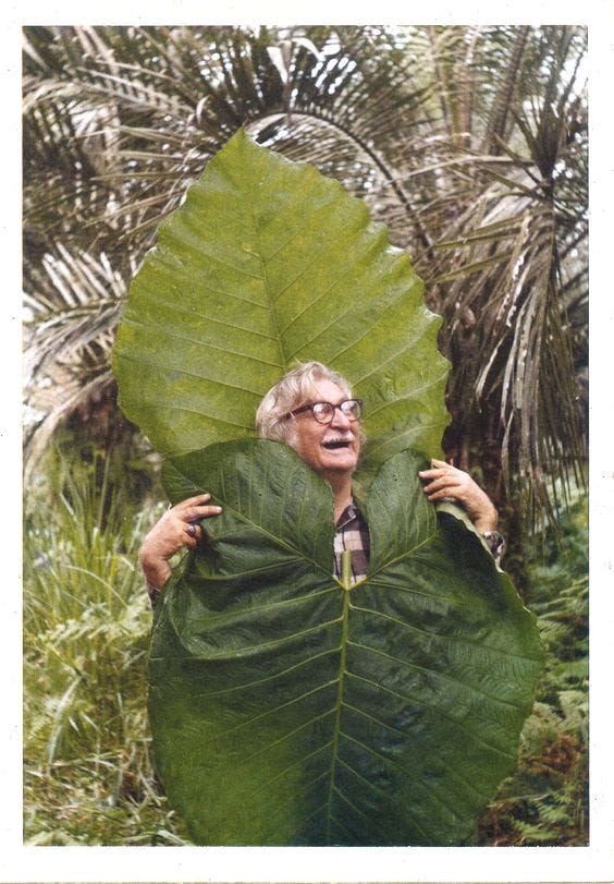 This may contain: a woman is hiding behind a large leaf
