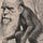 Darwin's Wonders