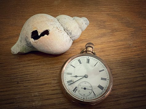 A selection of objects - watch, books, skull, candles - symbolising transience.