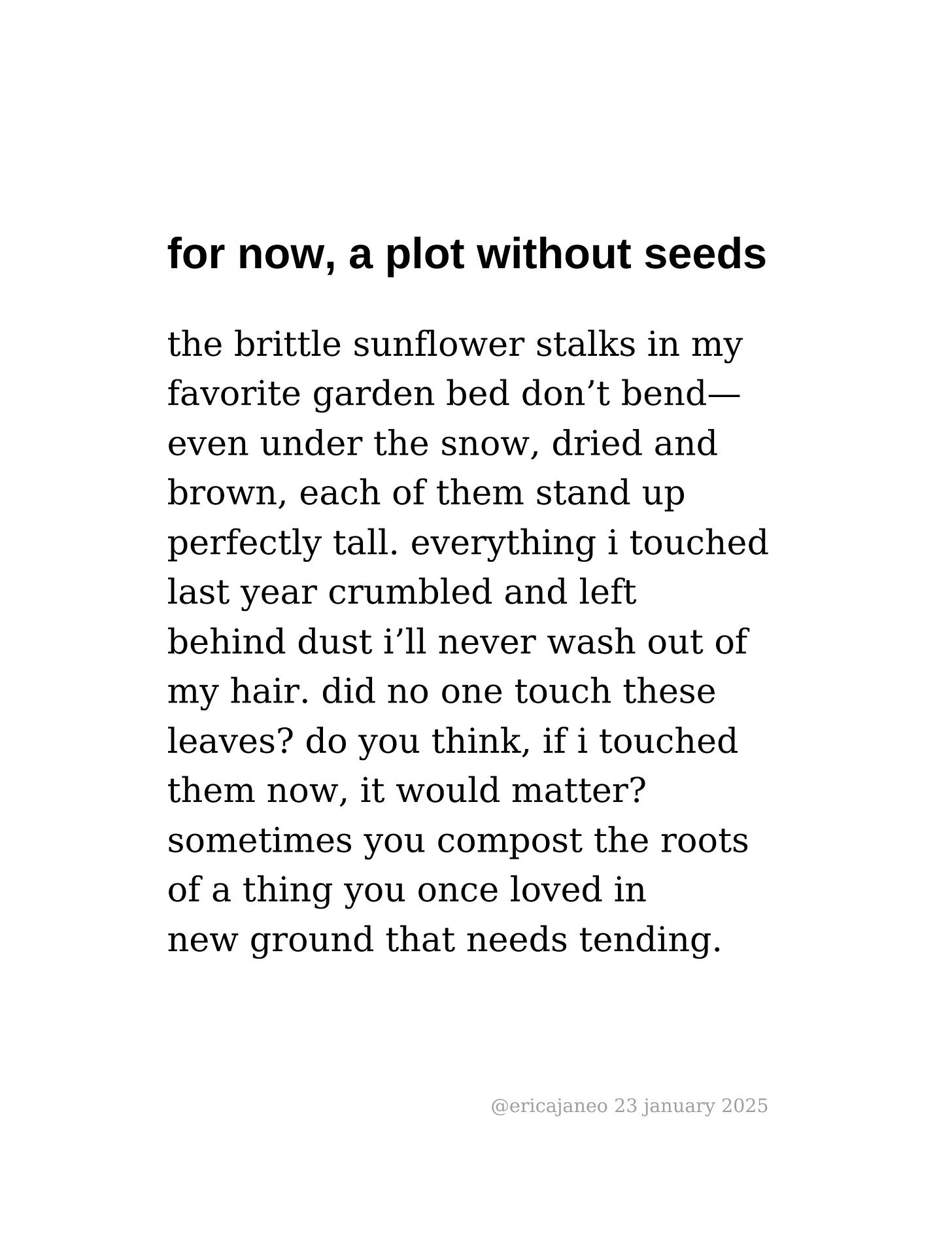 for now, a plot without seeds  the brittle sunflower stalks in my  favorite garden bed don’t bend— even under the snow, dried and  brown, each of them stand up  perfectly tall. everything i touched  last year crumbled and left  behind dust i’ll never wash out of  my hair. did no one touch these  leaves? do you think, if i touched  them now, it would matter?  sometimes you compost the roots  of a thing you once loved in  new ground that needs tending.