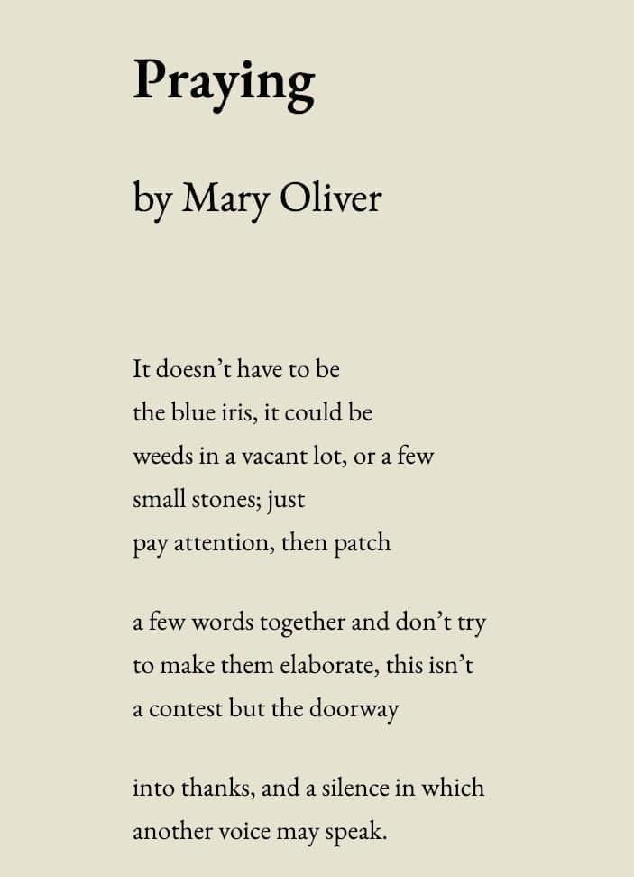 This may contain: a poem written in black and white with the words praying by mary olver on it