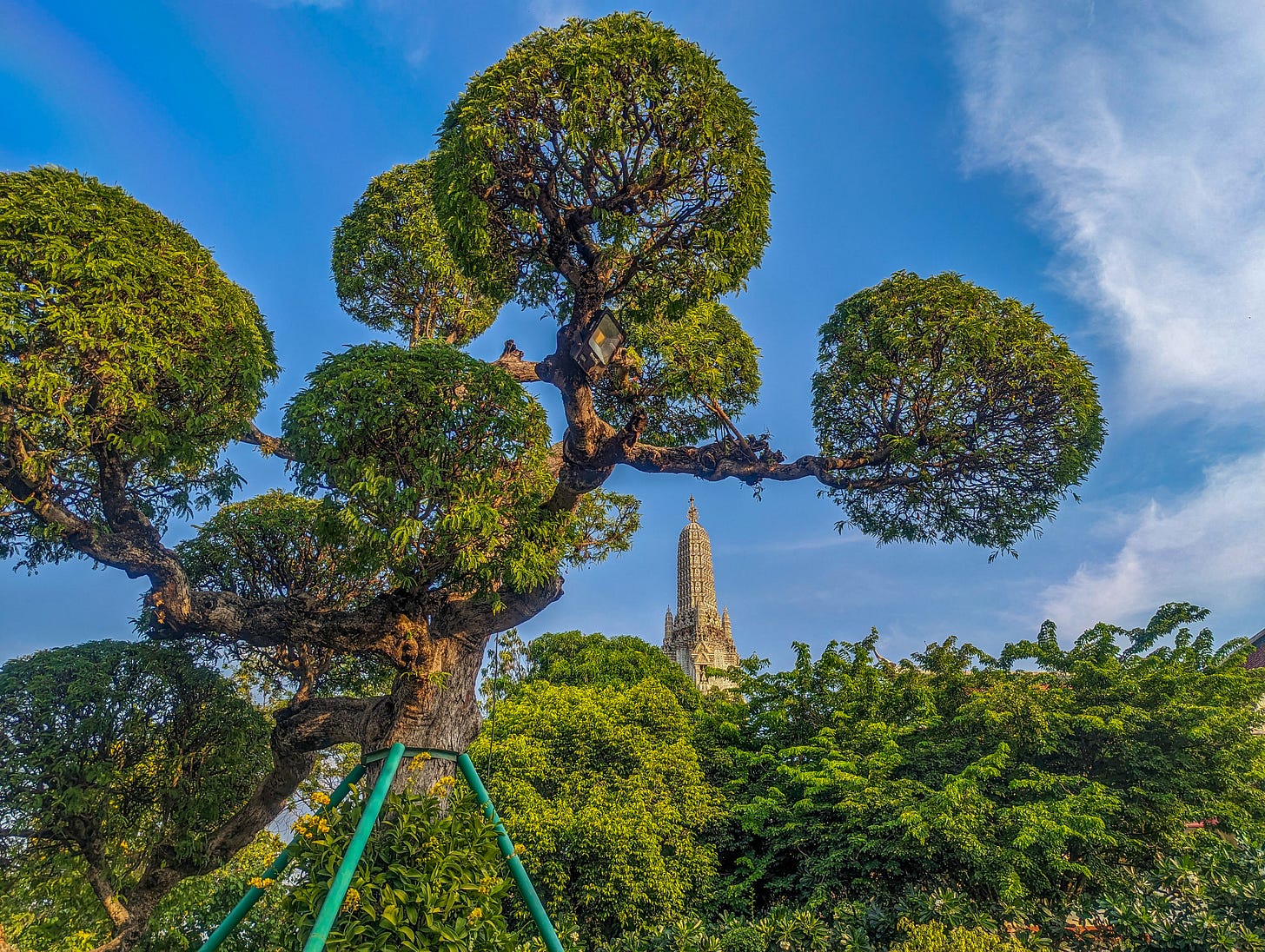 The central prang of Arun Wat seen in the distance behind trees. 