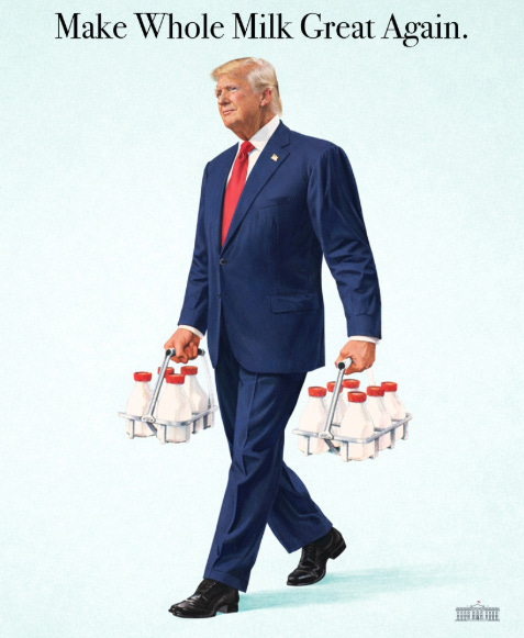 Trump dressed in a suit carrying baskets of milk bottles like a milkman.