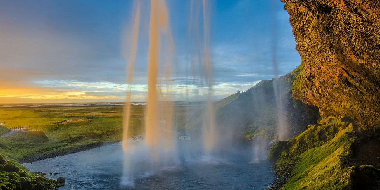 God Wants You to Bear Much Fruit