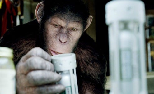 Rise of the Planet of the Apes - inside