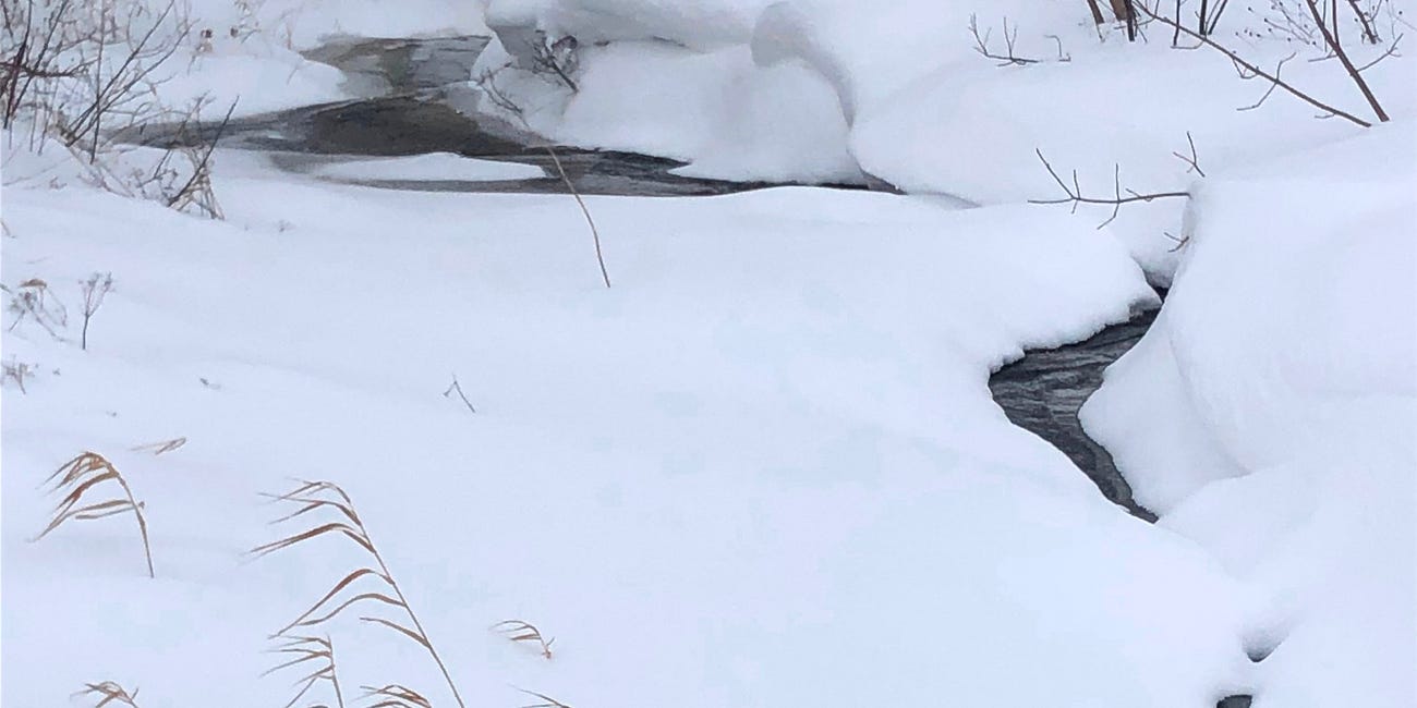 Snow: Mid-winter Reflections