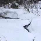 Snow: Mid-winter Reflections