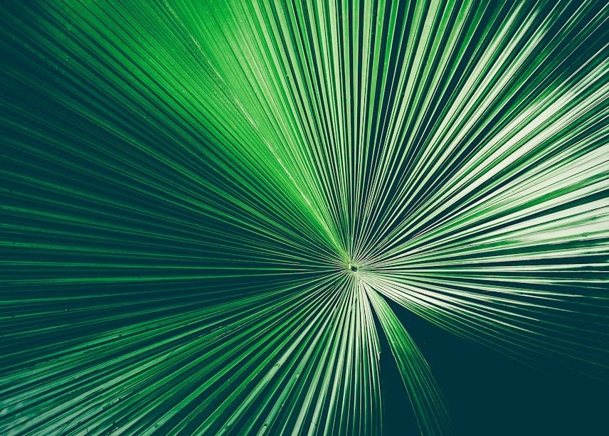 a green and white abstract background with lines