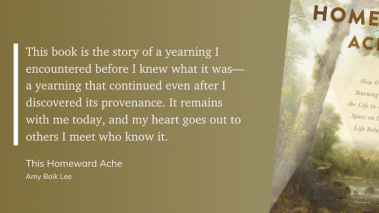 book review quote from This Homeward Ache by Amy Baik Lee