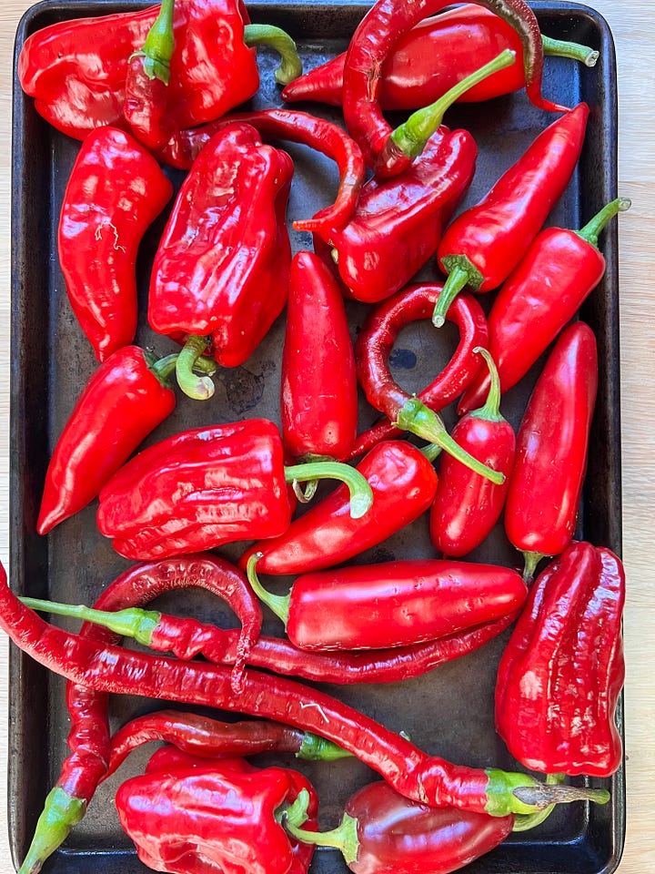 homemade hot sauce
