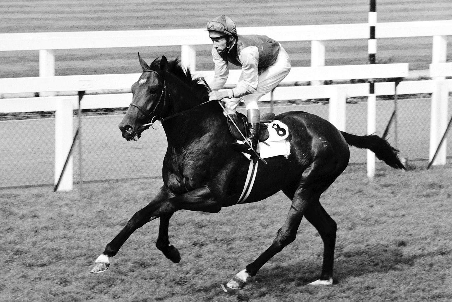 King George legendák – 1. rész – Nijinsky