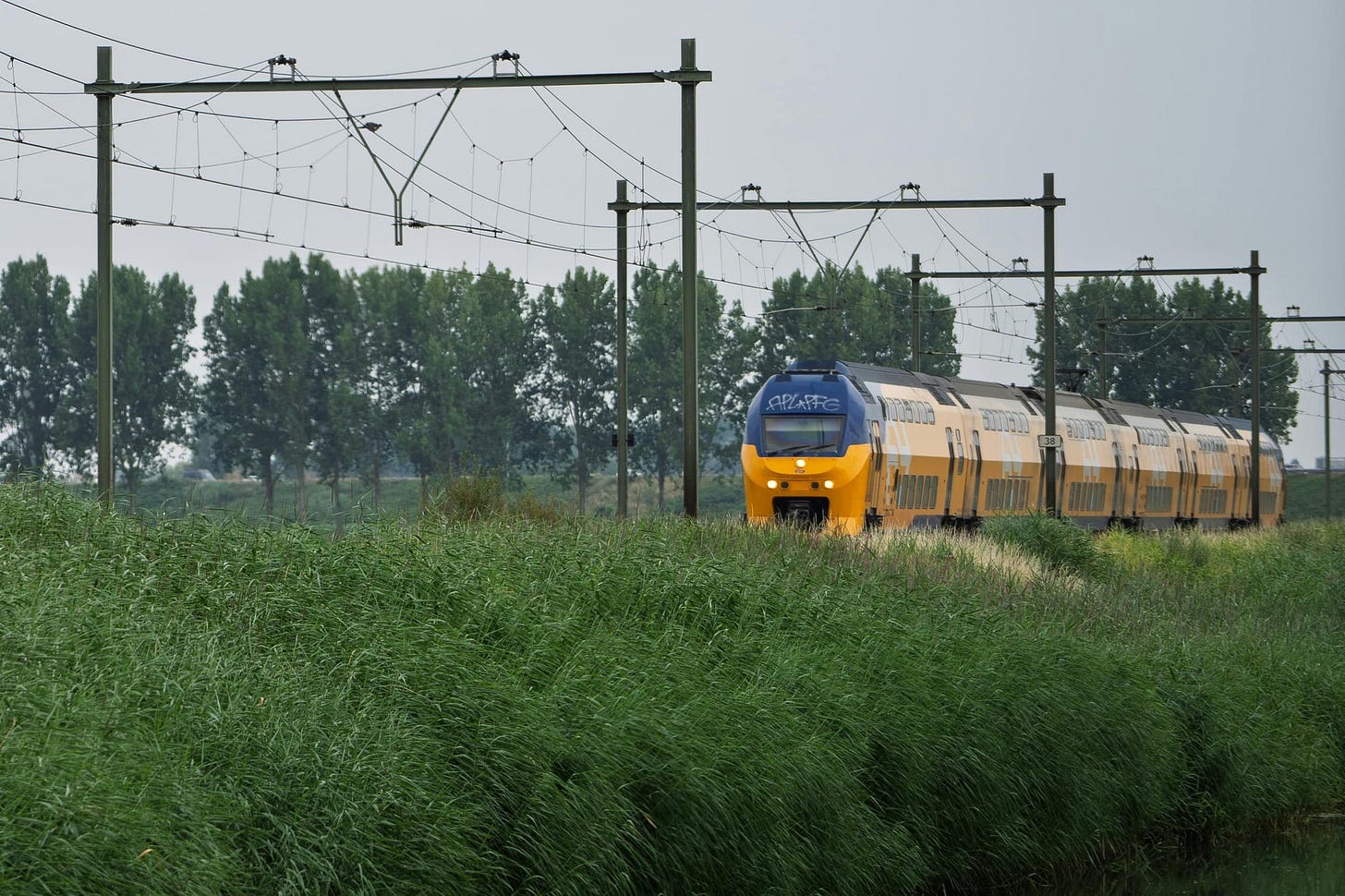 Photo Credits: Martijn Stoof/Pexels