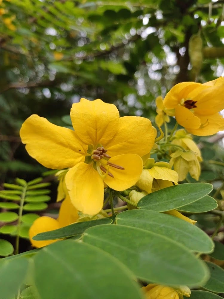 Grateful for a stranger's kindness Grateful for a stranger's kindness