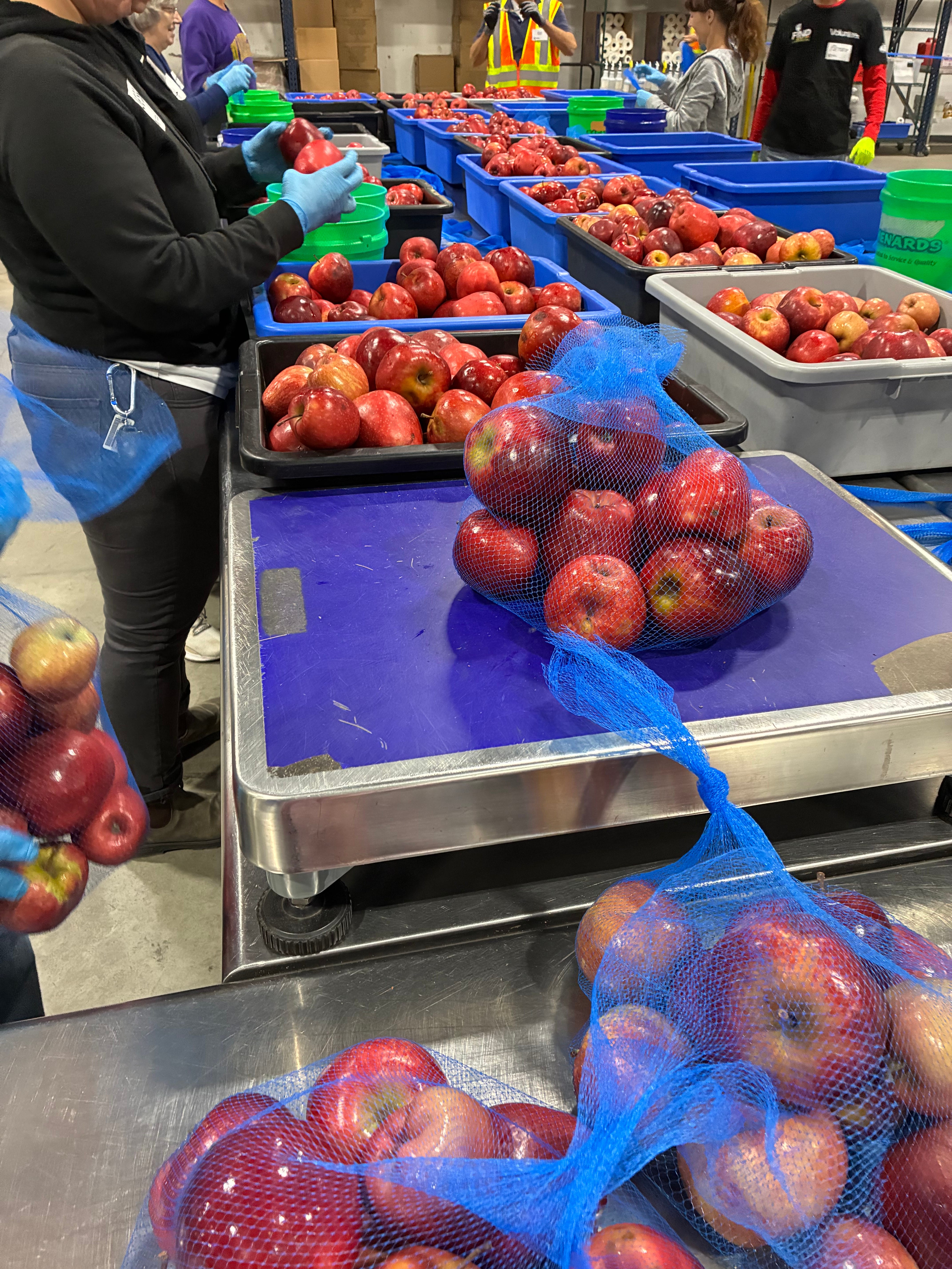 Apple Packing - by Terrie Crowley - Terrie’s Substack