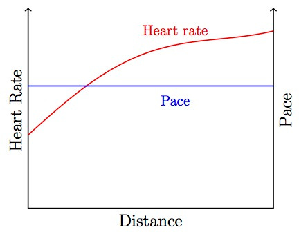 Fatigue or Cardiac Drift? - Dr. Phil Maffetone