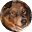 Pauhana's avatar