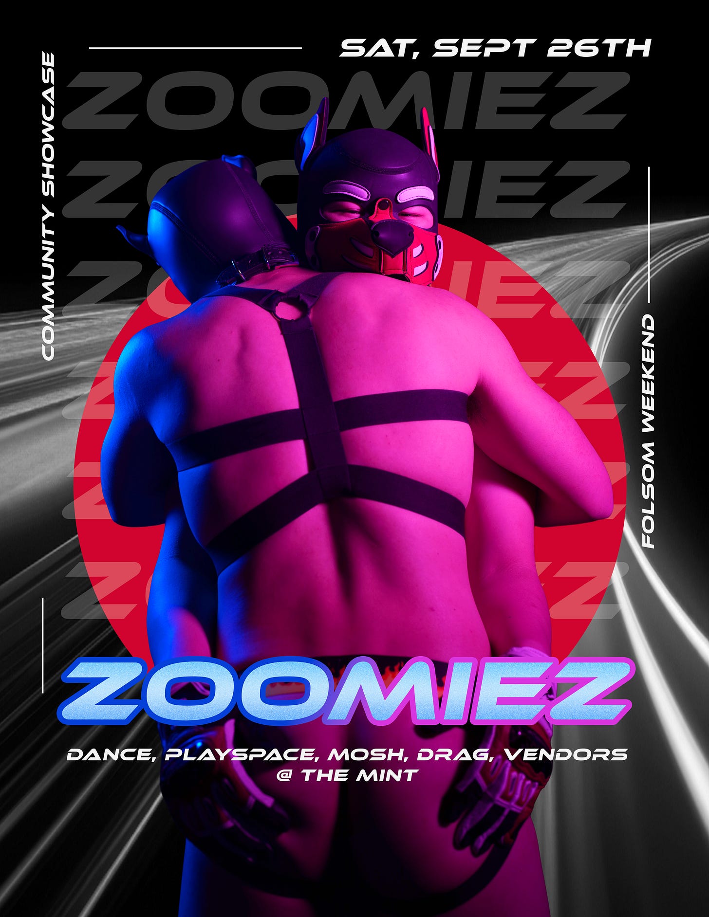 Zoomies Folsom flyer