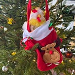 Tales under the cat tree