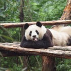 Trump Keeps Doing Sh*t Nobody Voted For, Like Eliminating 'PBS Kids'