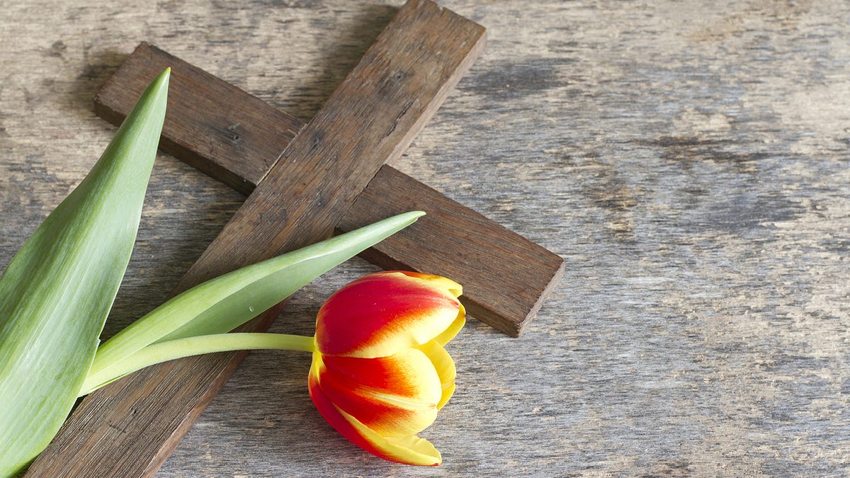 IVERMECTIN LYME DISEASE SUCCESS STORY 16 year old boy - EASTER MESSAGE from a fellow Canadian