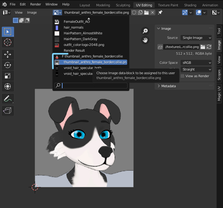 Blender UV Editor viewport. Selected slot, called 'thumbnail_anthro_female_bordercollie'. Clicking on 'Browse image', displaying multiple image slots.