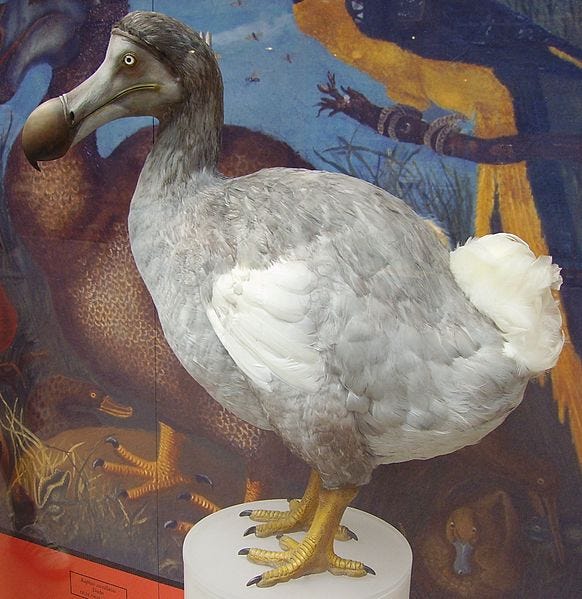 Dodo Hi, Can I List Your Home for Sale?