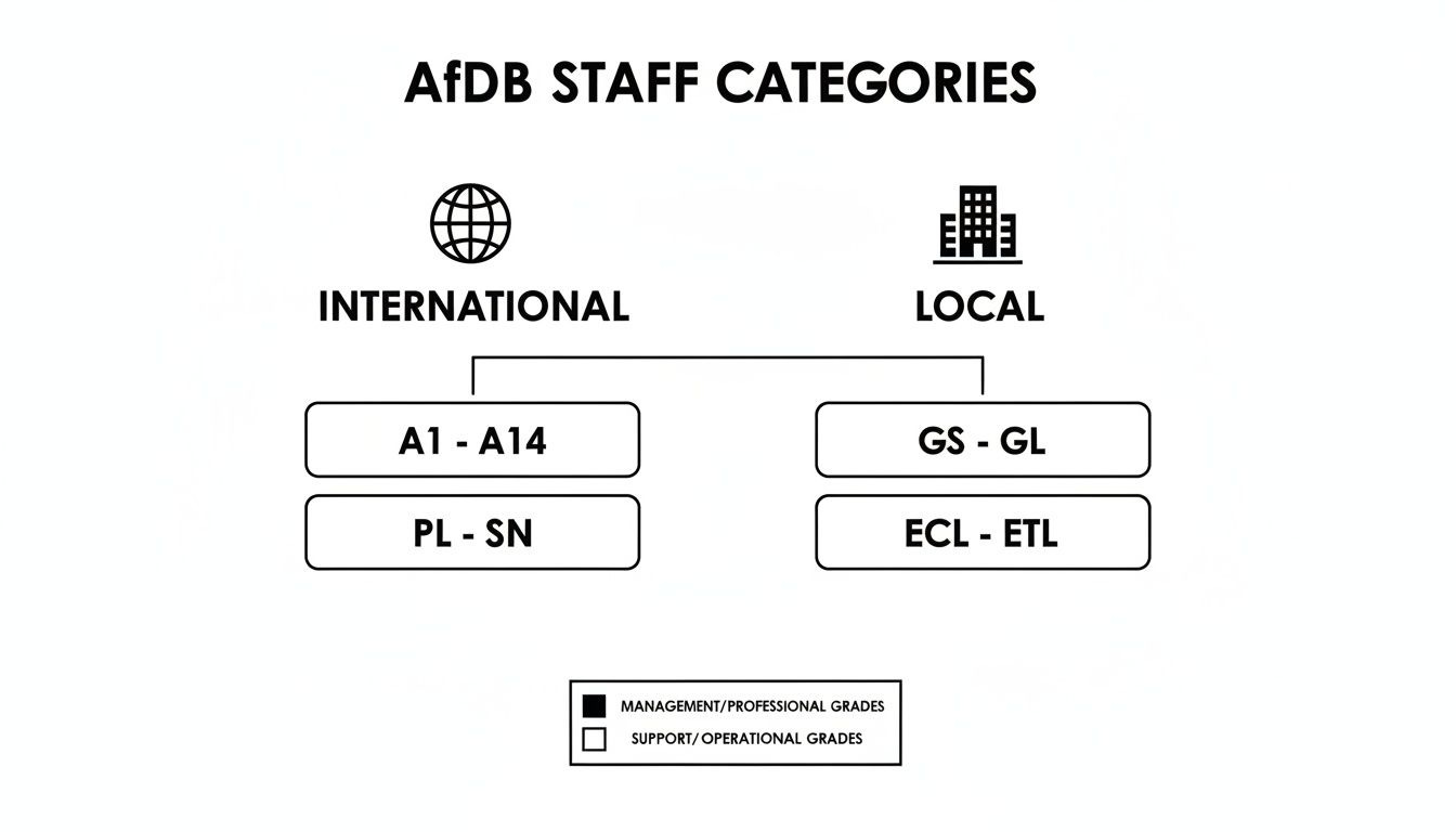 Diagram illustrating African Development Bank staff categories, distinguishing between international and local grades and their respective professional and operational levels.