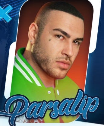 Substack profile picture for @parsalip