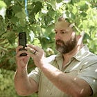 From Drones to iPhones: Digital Farming with Aerobotics