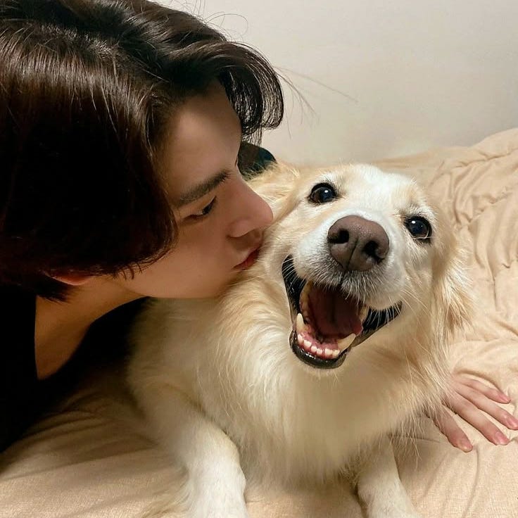 Miciela's Universe logo