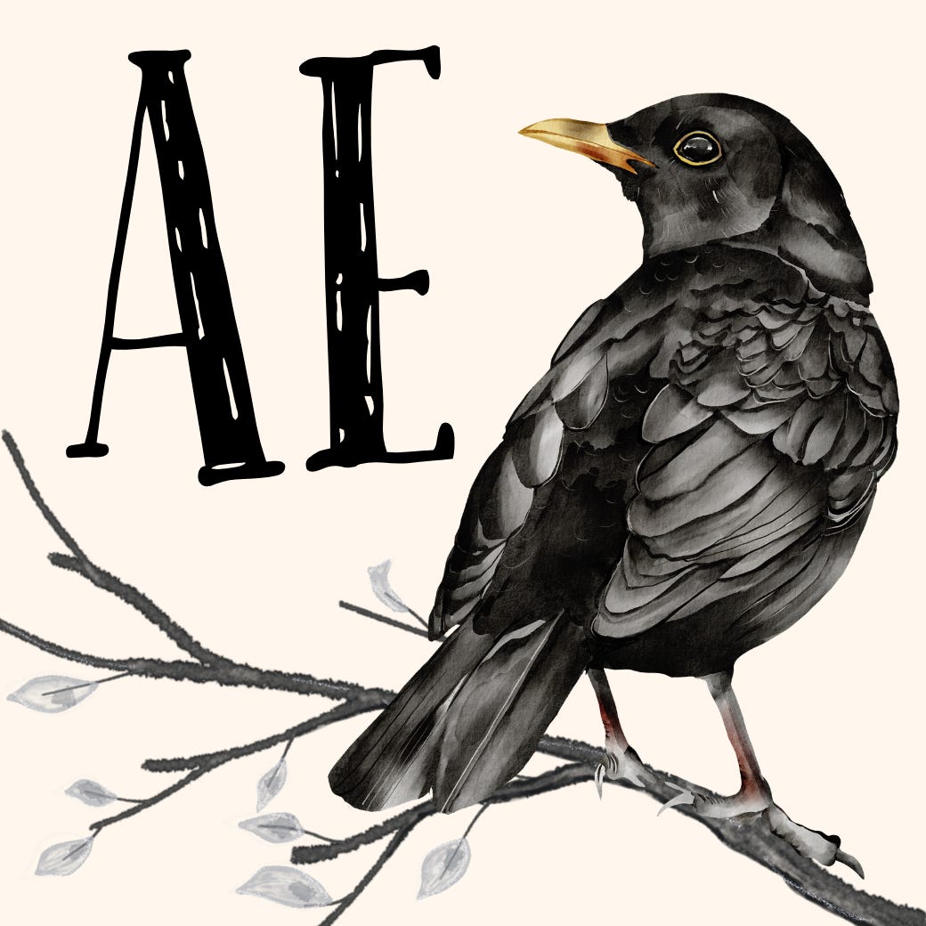Author Enchanted