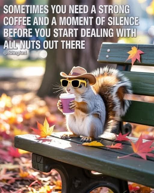 A squirrel wearing a yellow cowboy hat and black sunglasses sits on a green wooden park bench surrounded by fallen orange and yellow autumn leaves. The squirrel holds a purple coffee cup near its mouth. The bench is in an outdoor setting with more colorful leaves on the ground. Text overlay reads Sometimes you need a strong coffee and a moment of silence before you start dealing with all nuts out there with attribution to fishingirl.