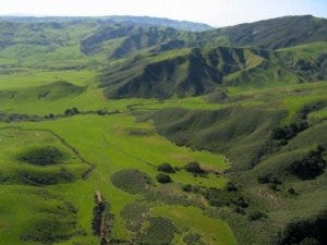 arial green hills johnwileyBG6