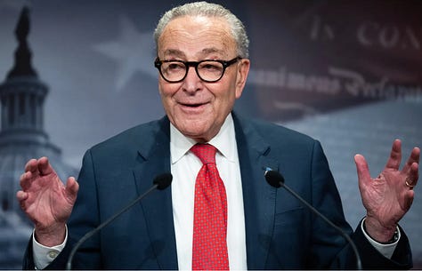 Abdul al-Sayed, Chuck Schumer, and Haley Stevens