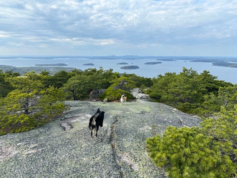 Photos of the campground, ocean, hiking, and dogs