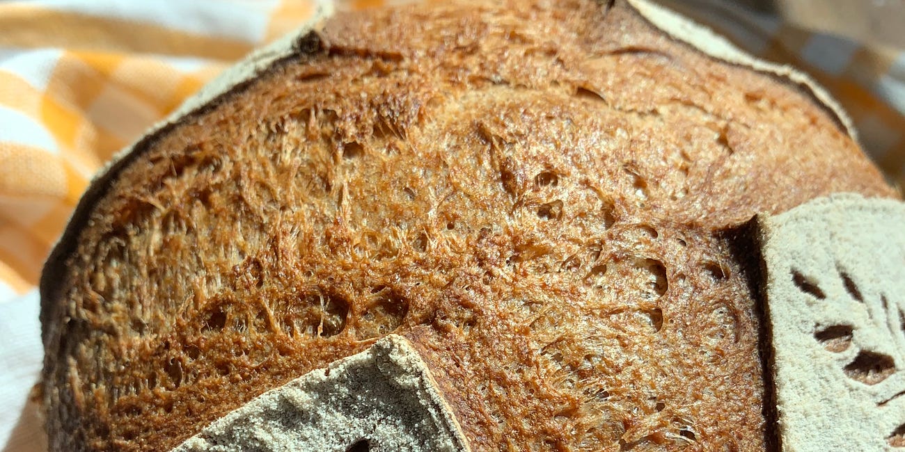 Everyday Gluten Free Sourdough Recipe