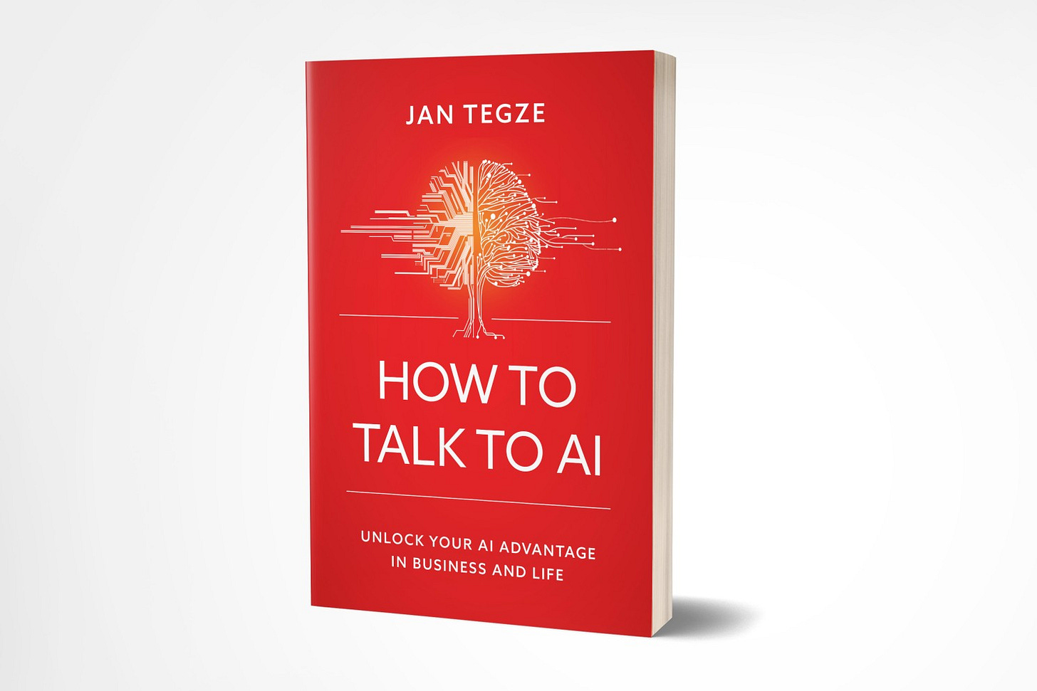 How To Talk To AI