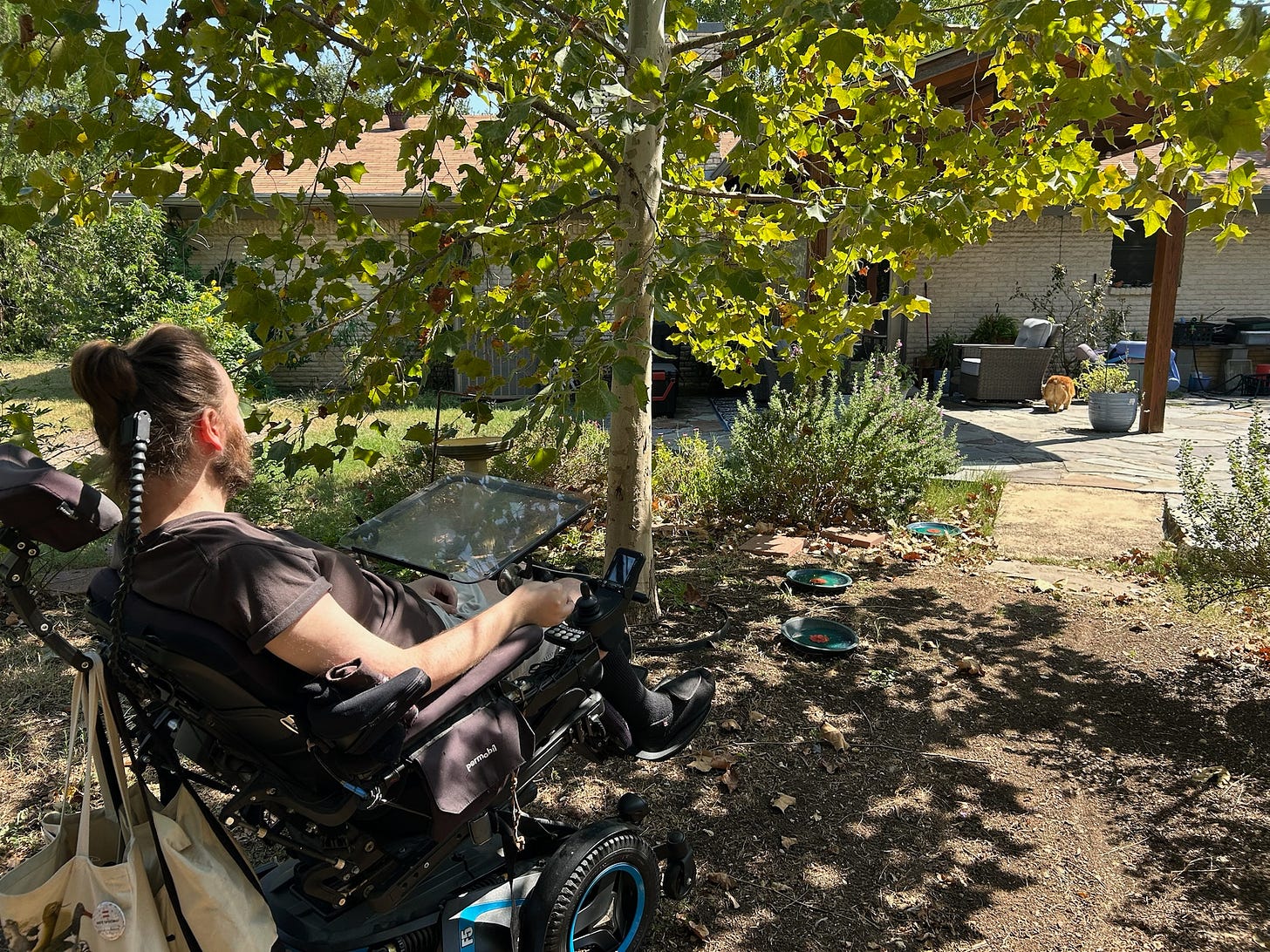 Eric tilts his motorized wheelchair back in the dappled shade of a young sycamore tree. Bearded, and with his long hair tied in a bun, Eric faces away from the camera. Little shrubs and a variety of birdbaths fan outward from the tree. Eric’s house and patio are partially visible in the background.