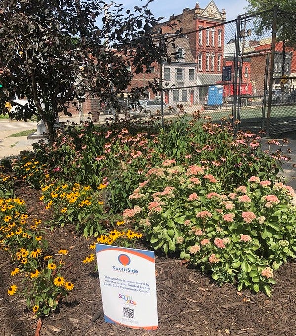 Newly planted flower garden with old buildings in the background.