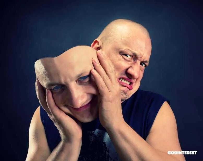 The Understory The Understory