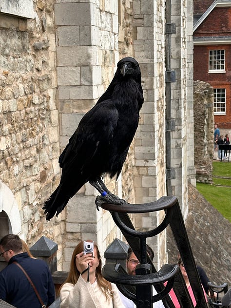 Pictures from London