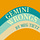 Gemini Wrongs by Meg Tietz