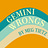 Gemini Wrongs by Meg Tietz