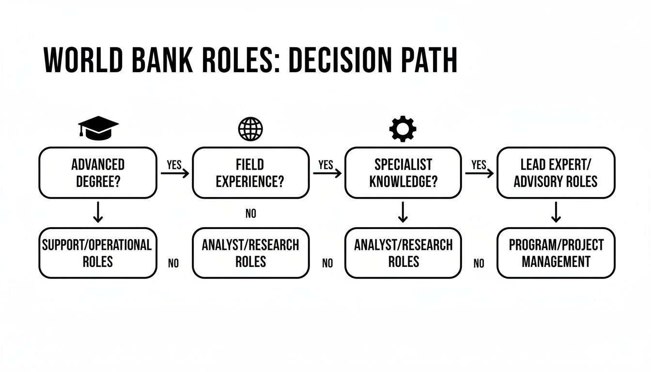 Flowchart detailing World Bank career paths based on advanced degree, field experience, and specialist knowledge.