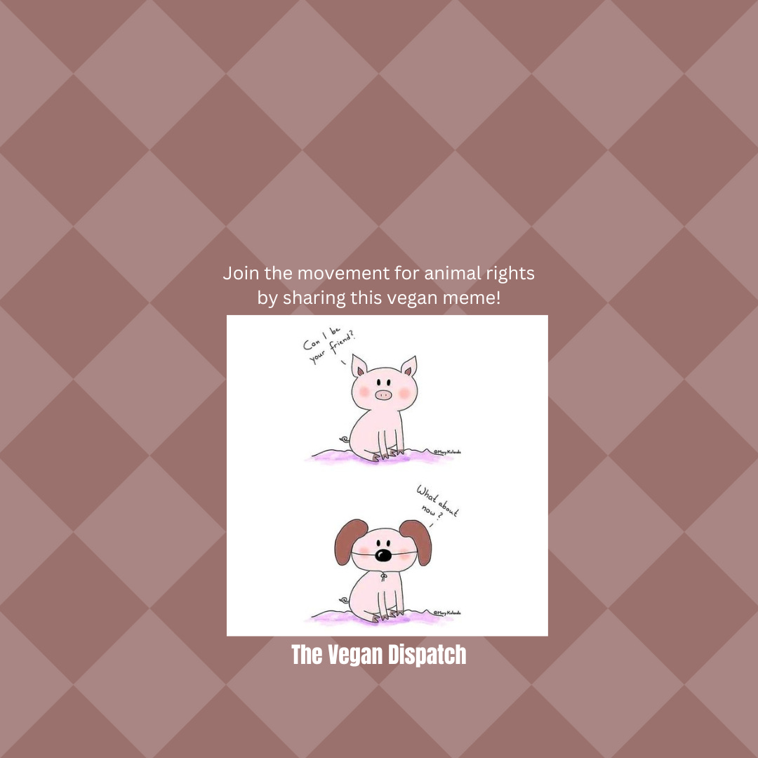 Carnism, the ideology supporting meat consumption, is shaped by societal norms and cultural conditioning. It reflects a perception taught from childhood, influenced by tradition, economic interests, and often unexamined habits. Carnism, the ideology supporting meat consumption, is shaped by societal norms and cultural conditioning. It reflects a perception taught from childhood, influenced by tradition, economic interests, and often unexamined habits.